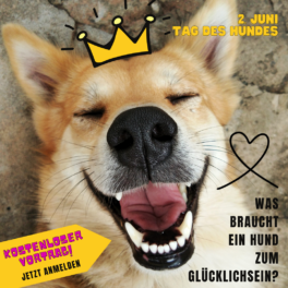tagdeshundes2