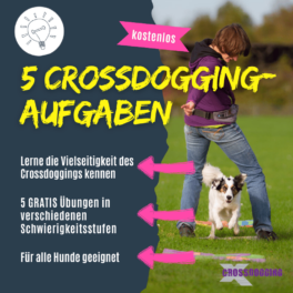 Shop_Crossdogging-Aufgaben