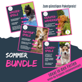 shop_sommerbundle