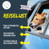 Tipps für die Fahrt in den Urlaub mit Hund