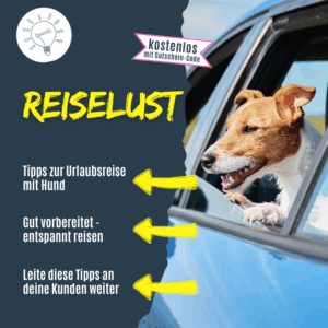 Tipps für die Fahrt in den Urlaub mit Hund