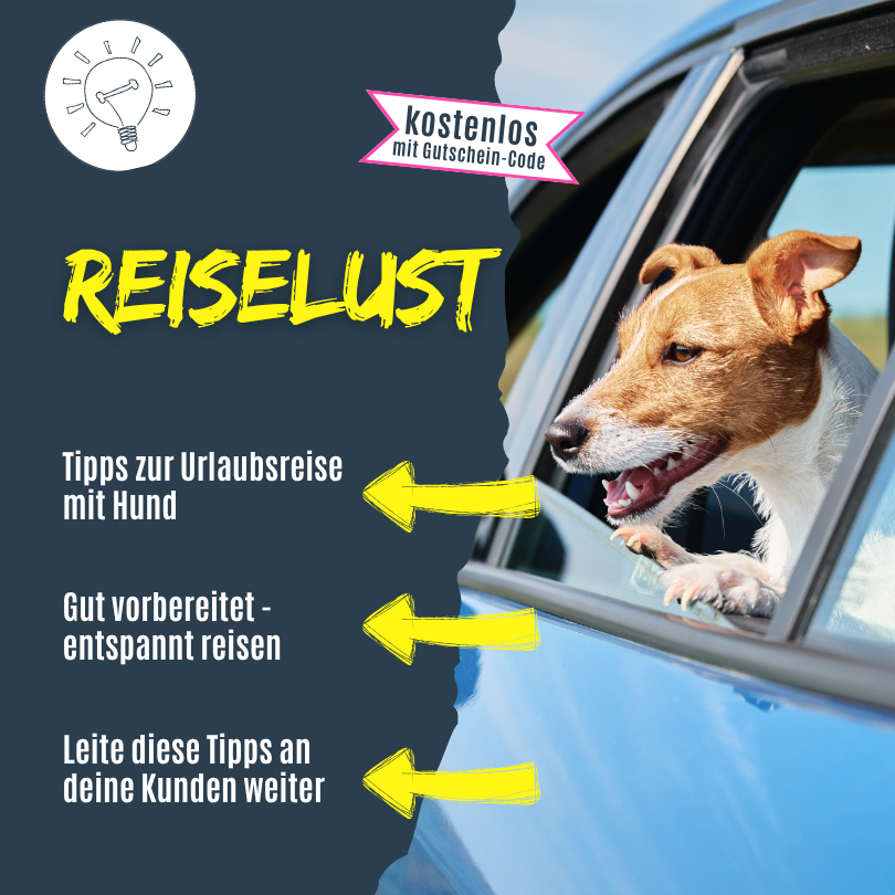 Tipps für die Fahrt in den Urlaub mit Hund