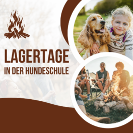 lagertage-2