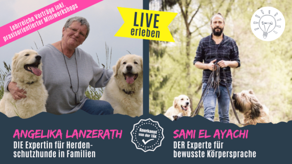 Facebook Angelika & Sami