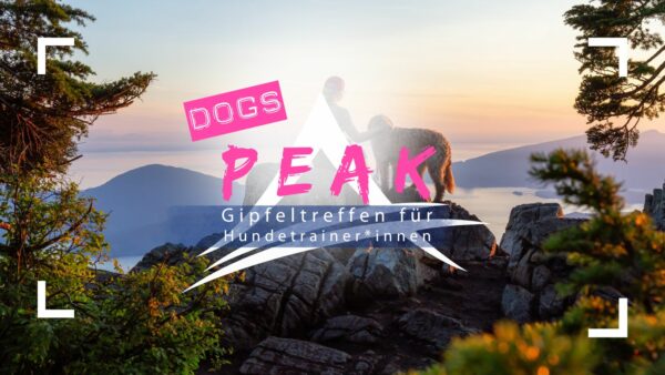 Kopie von Einfach Rahmen Fotografie Fotostudio Facebook-Titelbild