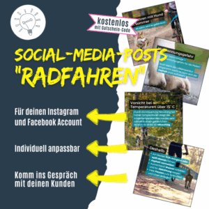 Social-Media-Posts Radfahren mit Hund im Sommer