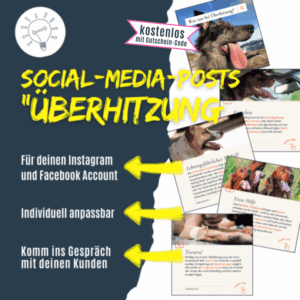 Was tun bei Überhitzung vom Hund?