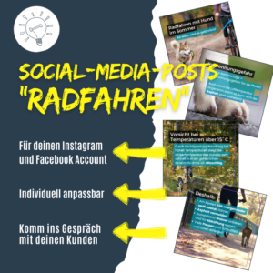 Social-Media-Posts Radfahren mit Hund im Sommer