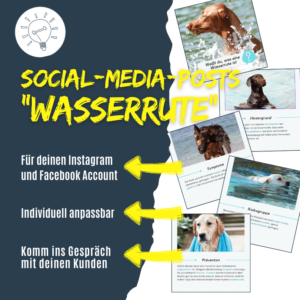 Social-Media-Posts zum Thema Wasserrute bei Hunden