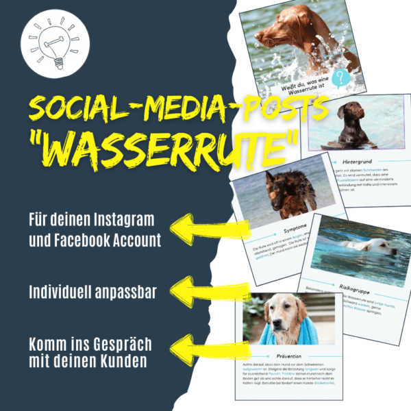 Social-Media-Posts zum Thema Wasserrute bei Hunden