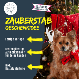 Shop_ZauberstabNEU