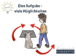 viele_moeglichkeiten_tonne
