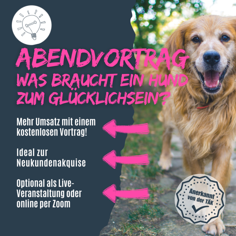 Was braucht ein Hund zum glücklich sein