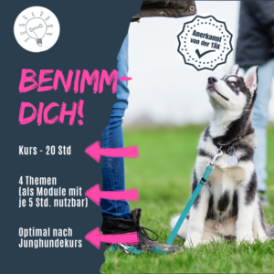 Alle wichtigen Hundesignale lernen deinen Kunden in diesem Kurs