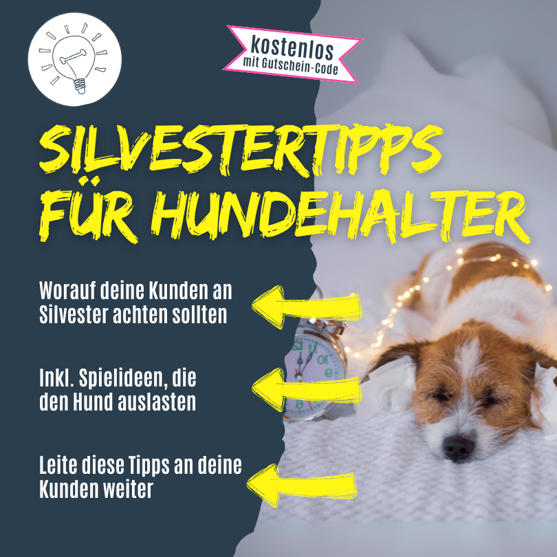 Silvestertipps für Hunde