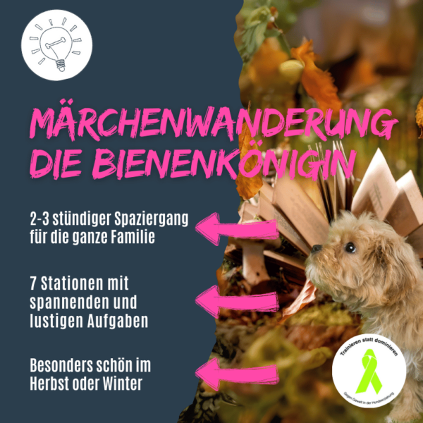 Märchenwanderung Social Walk mit Übungen