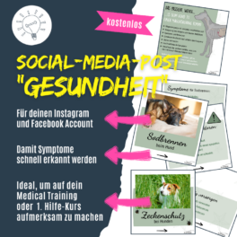 Shop Social Media Posts Gesundheit Platinum