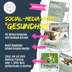 Social-Media-Posts "Gesundheit"