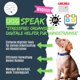 Shop_WebinarDigitaleHelfer