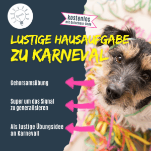 Lustige Übung für Hunde an Karneval