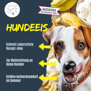 Rezept für Hundeeis