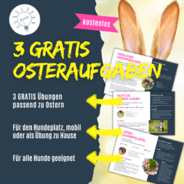 Shop_3GRATIS_Osteraufgaben