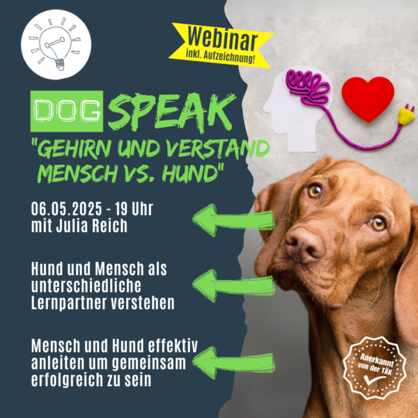 Anerkannte Fortbildung für Hundetrainer: DogSPEAK-Webinar "Gehirn und Verstand - Mensch vs. Hund"