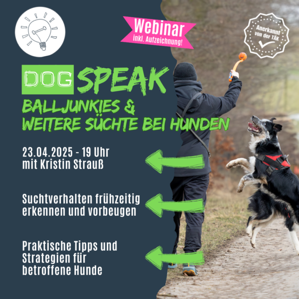 Fortbildung für Hundetrainer: DogSPEAK-Webinar "Balljunkies und weitere Süchte bei Hunden"