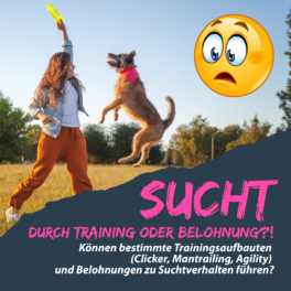 sucht-durch-training-oder-belohnung