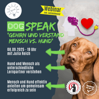 Shop_Webinar Gehirn und Verstand
