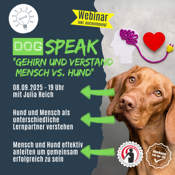 Anerkannte Fortbildung für Hundetrainer: DogSPEAK-Webinar "Gehirn und Verstand - Mensch vs. Hund" am 8.9.25