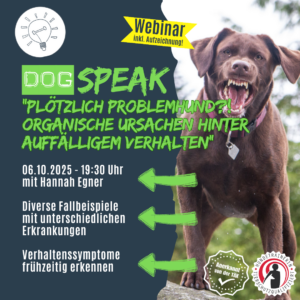 Webinar Organische Ursachen hinter auffälligem Verhalten beim Hund