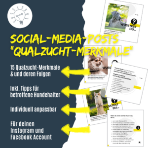 Qualzucht-Merkmale bei Hunden - Social-Media-Posts für Hundetrainer