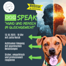 Shop Webinar Mensch und Hund im Gleichgewicht
