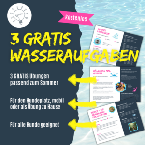 3 GRATIS Wasseraufgaben - ideale Hundeübungen bei Hitze