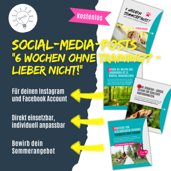 6 Wochen ohne Hundetraining?! - Lieber nicht!" Warum wenig Training besser ist als nix.