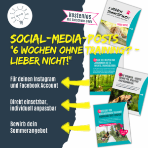 6 Wochen ohne Hundetraining?! - Lieber nicht!" Warum wenig Training besser ist als nix.