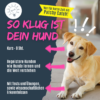 So klug ist dein Hund - nur für kurze Zeit als Patchy Catch