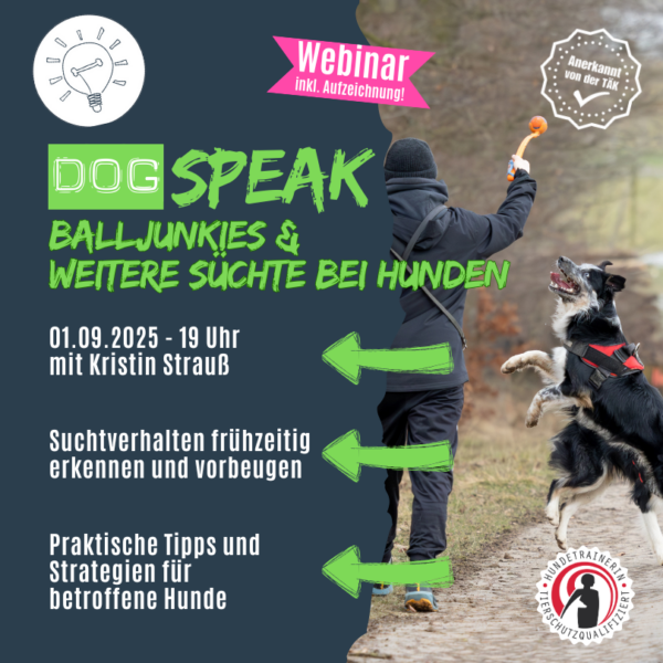 Fortbildung für Hundetrainer: DogSPEAK-Webinar "Balljunkies und weitere Süchte bei Hunden"