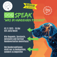 Shop_Webinar_Hundehirn
