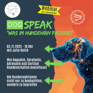 Shop_Webinar_Hundehirn