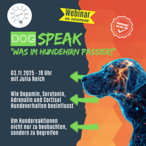 Wie Dopamin, Serotonin, Adrenalin und Cortisol Hundeverhalten beeinflusst