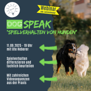 Im DogSPEAK-Webinar Spielverhalten von Hunden differenzieren und fachlich beurteilen