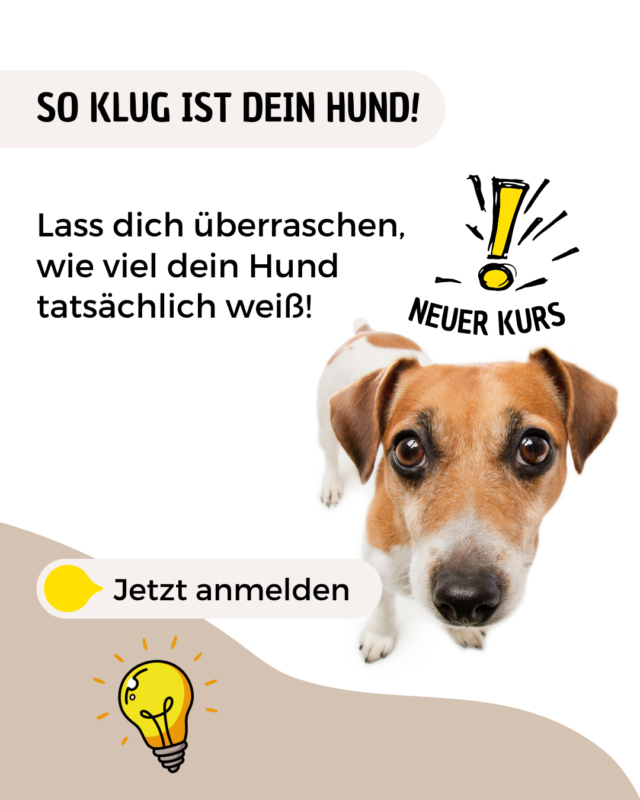 Post1 - So klug ist dein Hund