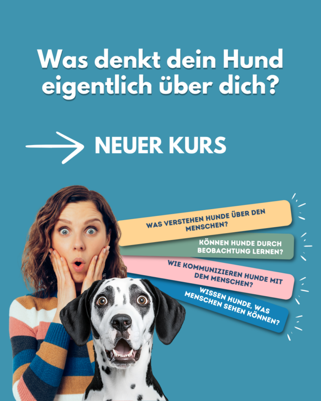 Post2 - So klug ist dein Hund