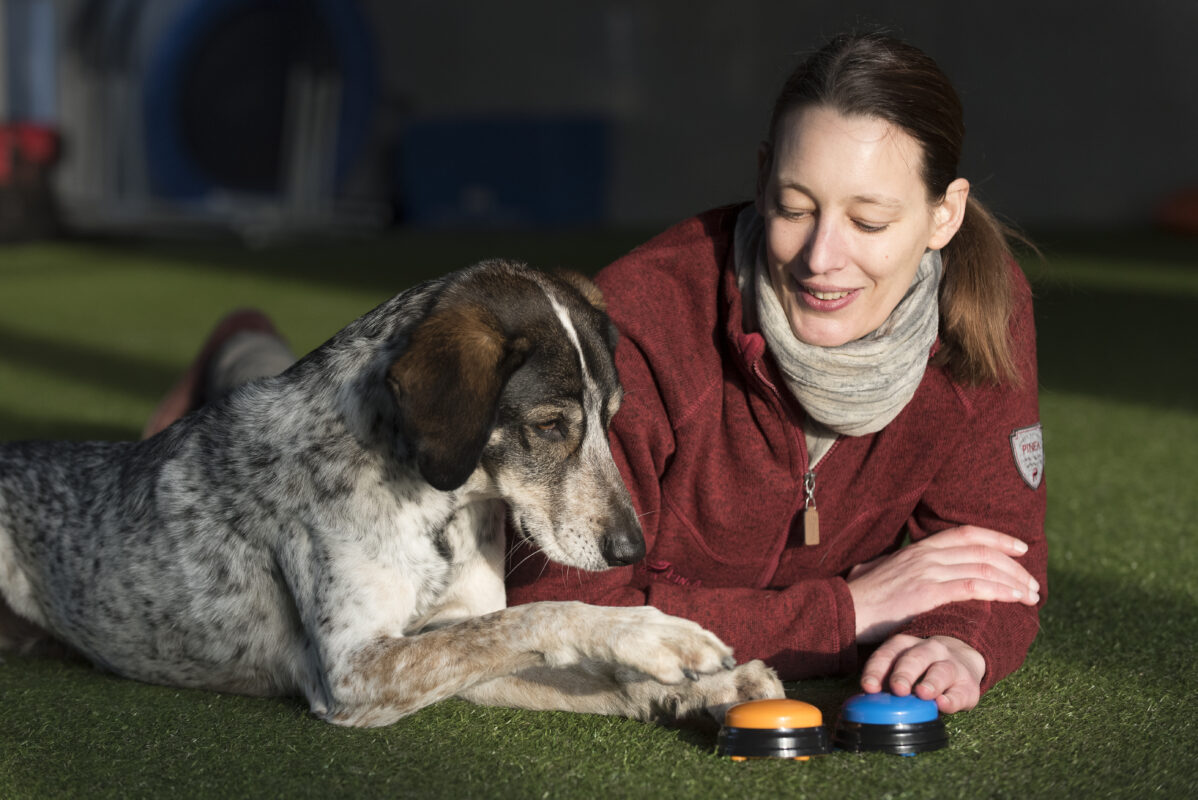 Katrin Heimsath - Referentin des DogSPEAK-Webinars "Do as I do"