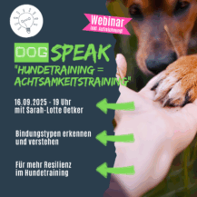 Shop_Webinar_Achtsamkeit