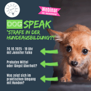 Strafe im Hundetraining - legitimes Mittel?!