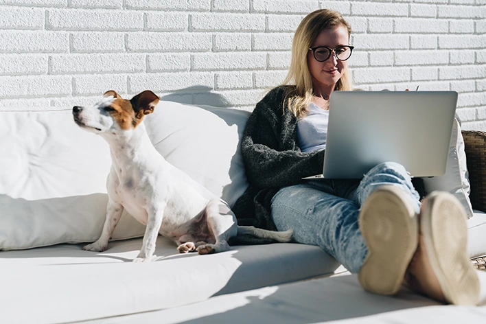 Hundetrainer werden