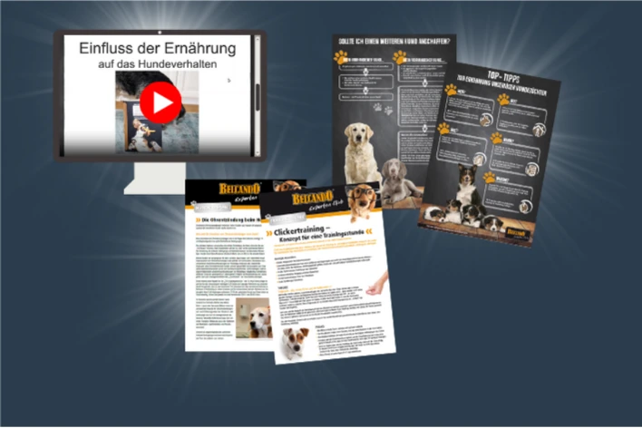Wissen und Downloads in der BELCANDO Wissensbar